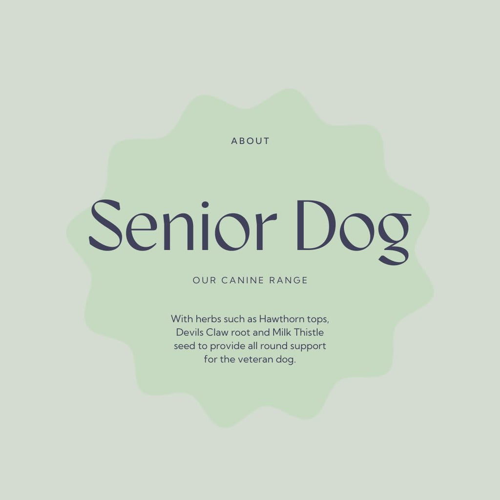 Senior Dog Health Supplement 4.4 oz Tub P9181