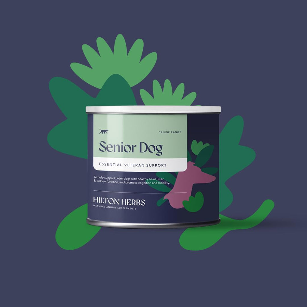 Senior Dog Health Supplement 4.4 oz Tub P9181