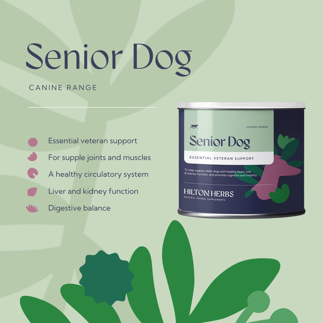 Senior Dog Health Supplement 4.4 oz Tub P9181