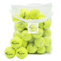 Tennis Ball 30/60 Bulk Pack N48502