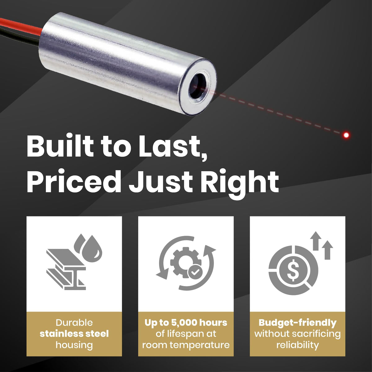 650nm Class 2 Laser Module W13020