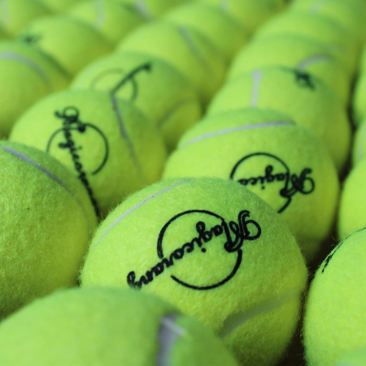 Tennis Ball 30/60 Bulk Pack N48502