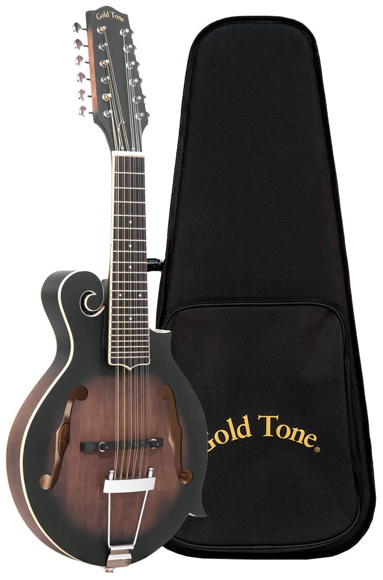 12-String Mando-Guitar with Hardshell Case F529