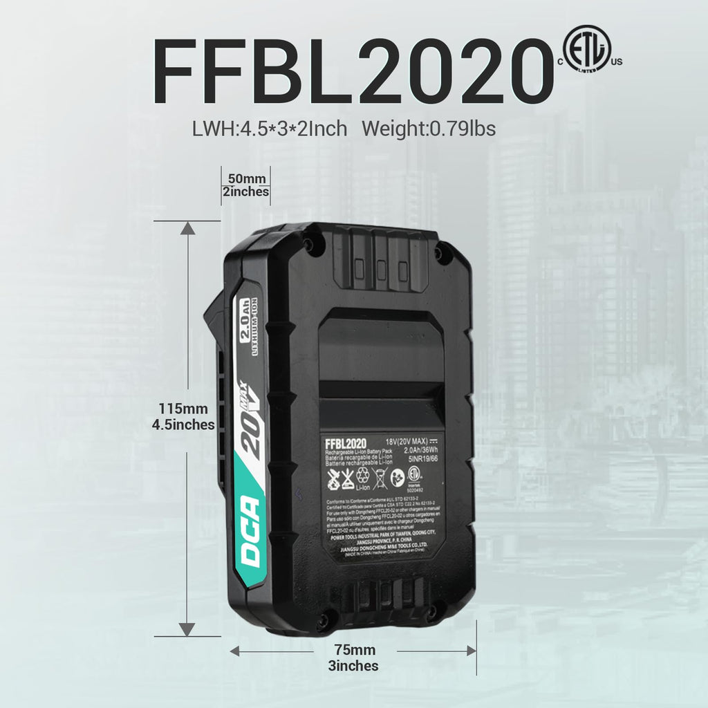 20V MAX Lithium-Ion Battery A300