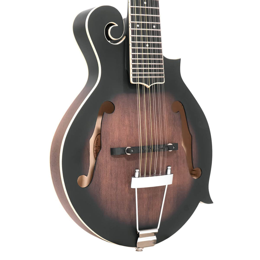 12-String Mando-Guitar with Hardshell Case F529