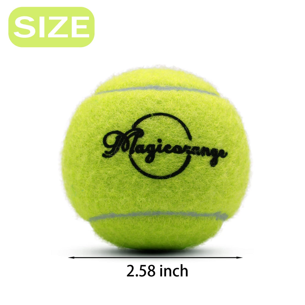 Tennis Ball 30/60 Bulk Pack N48502