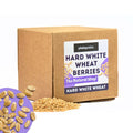 5.5 LB Dry Hard White Wheat Berries Whole Grain R463497
