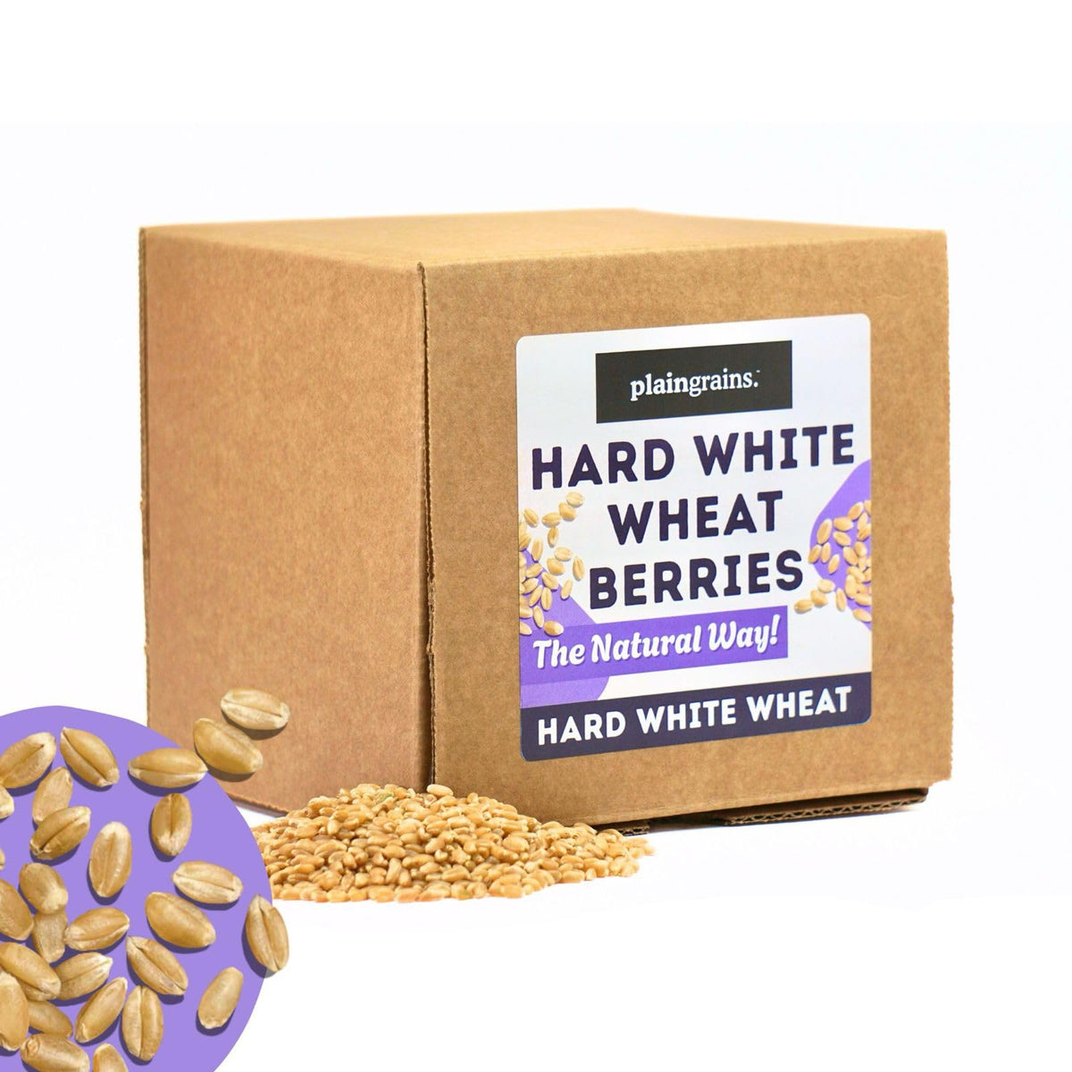 5.5 LB Dry Hard White Wheat Berries Whole Grain R463497