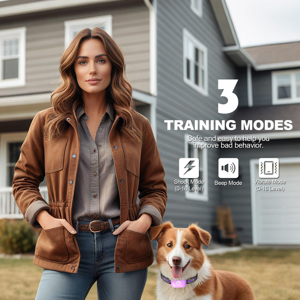Dog Training Collar with Remote Purple R145385