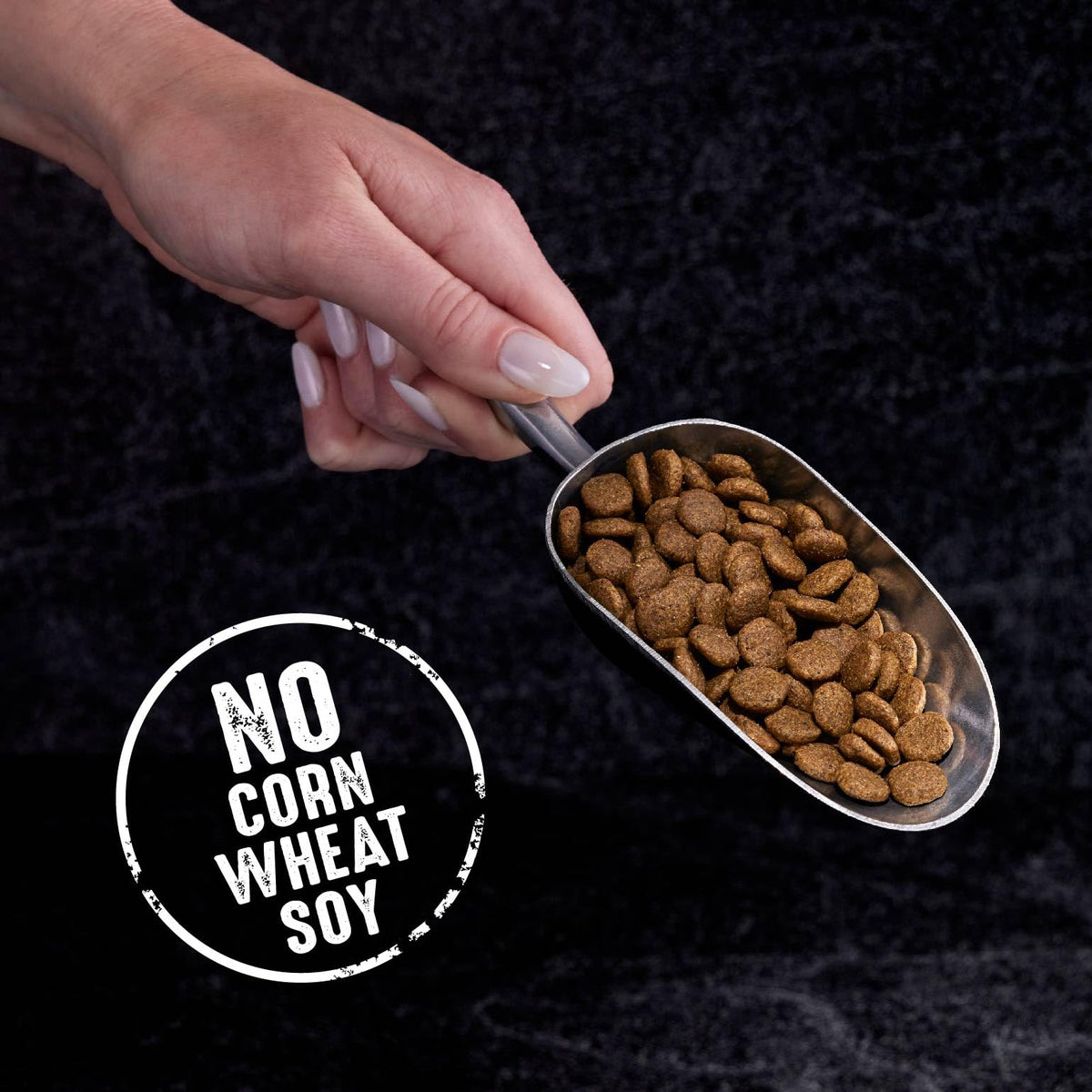 Grain Free High Protein Natural Dry Cat Food, Chicken, 10 lb X5576