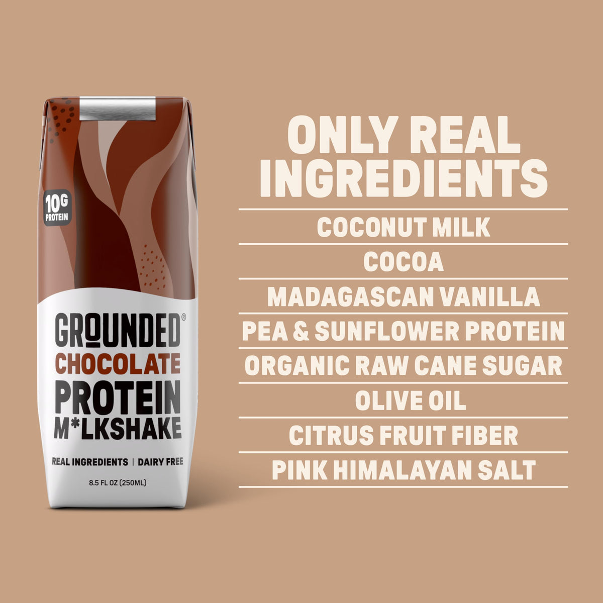 Chocolate Milk, Dairy Free, 10g Protein, 8.5 fl oz, 12 Pack Y5574