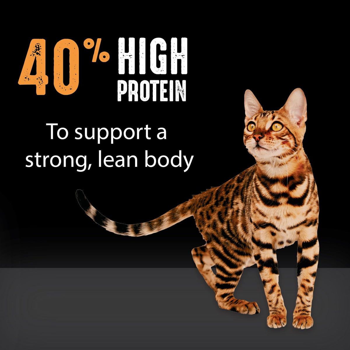 Grain Free High Protein Natural Dry Cat Food, Chicken, 10 lb X5576