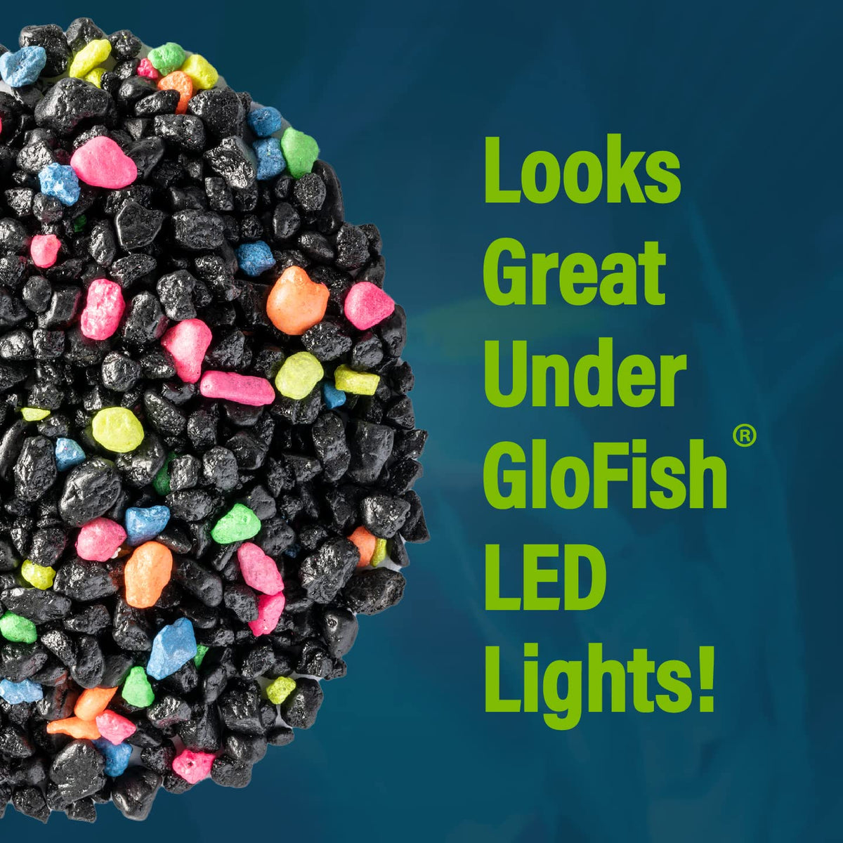 Black Aquarium Gravel 5 lb Bag G577027