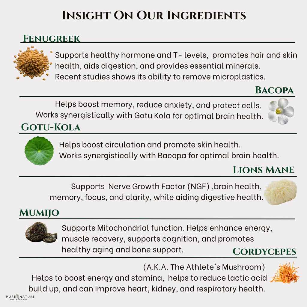 Organic Mushroom Complex Nootropic U593083