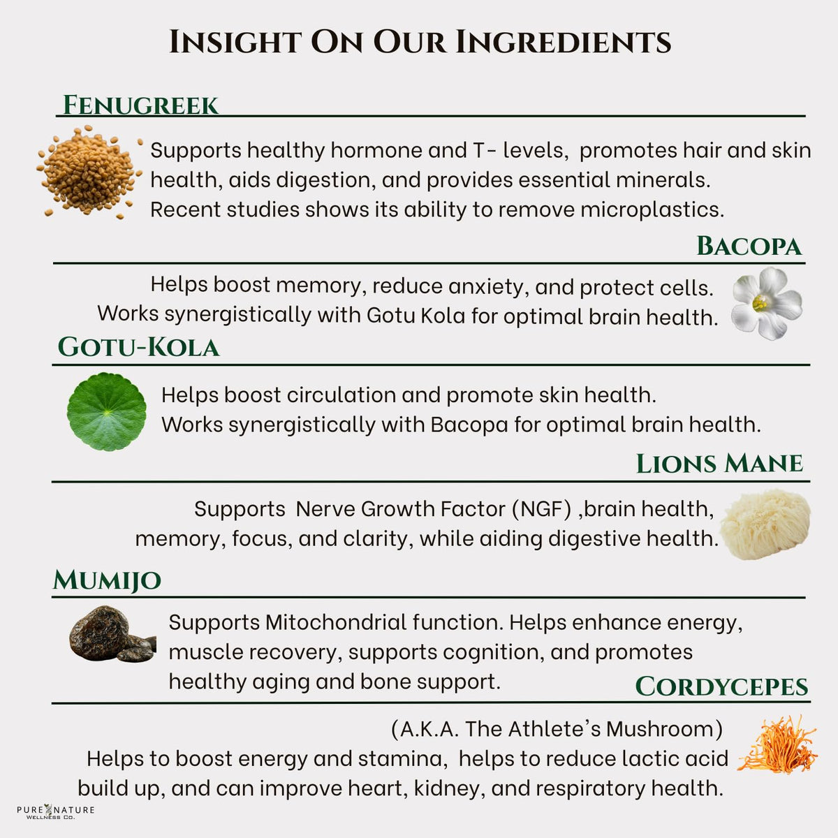 Organic Mushroom Complex Nootropic U593083