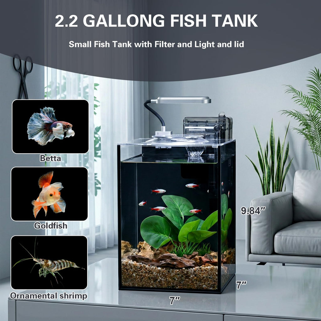 2.2 Gallon Glass Aquarium Set P69821