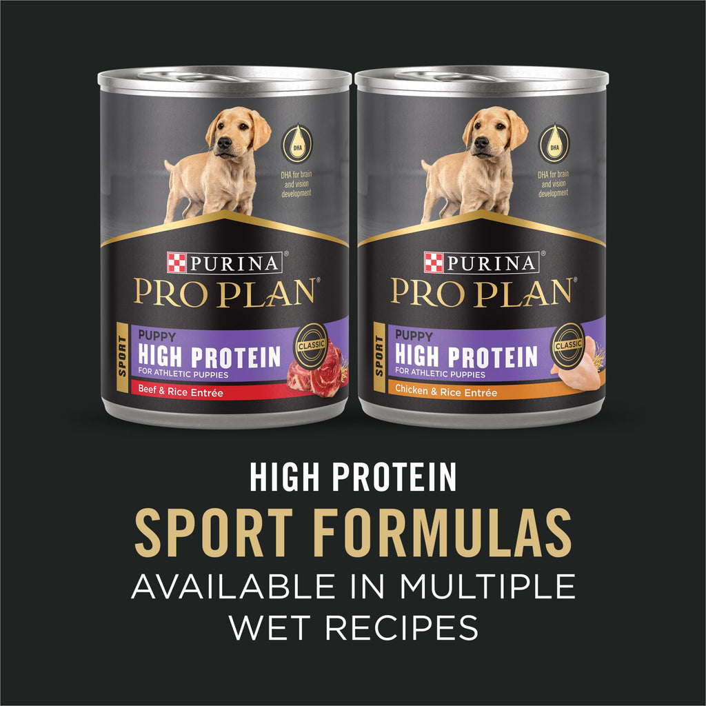 Chicken and Rice High Protein Dog Food 35 lb Z603