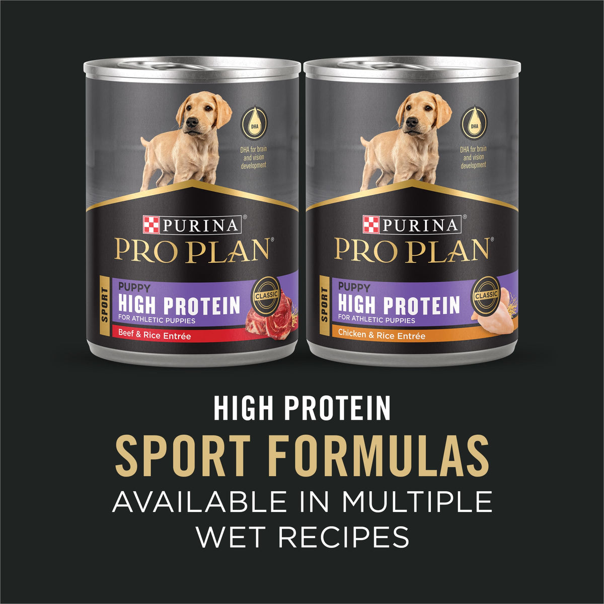 Chicken and Rice High Protein Dog Food 35 lb Z603