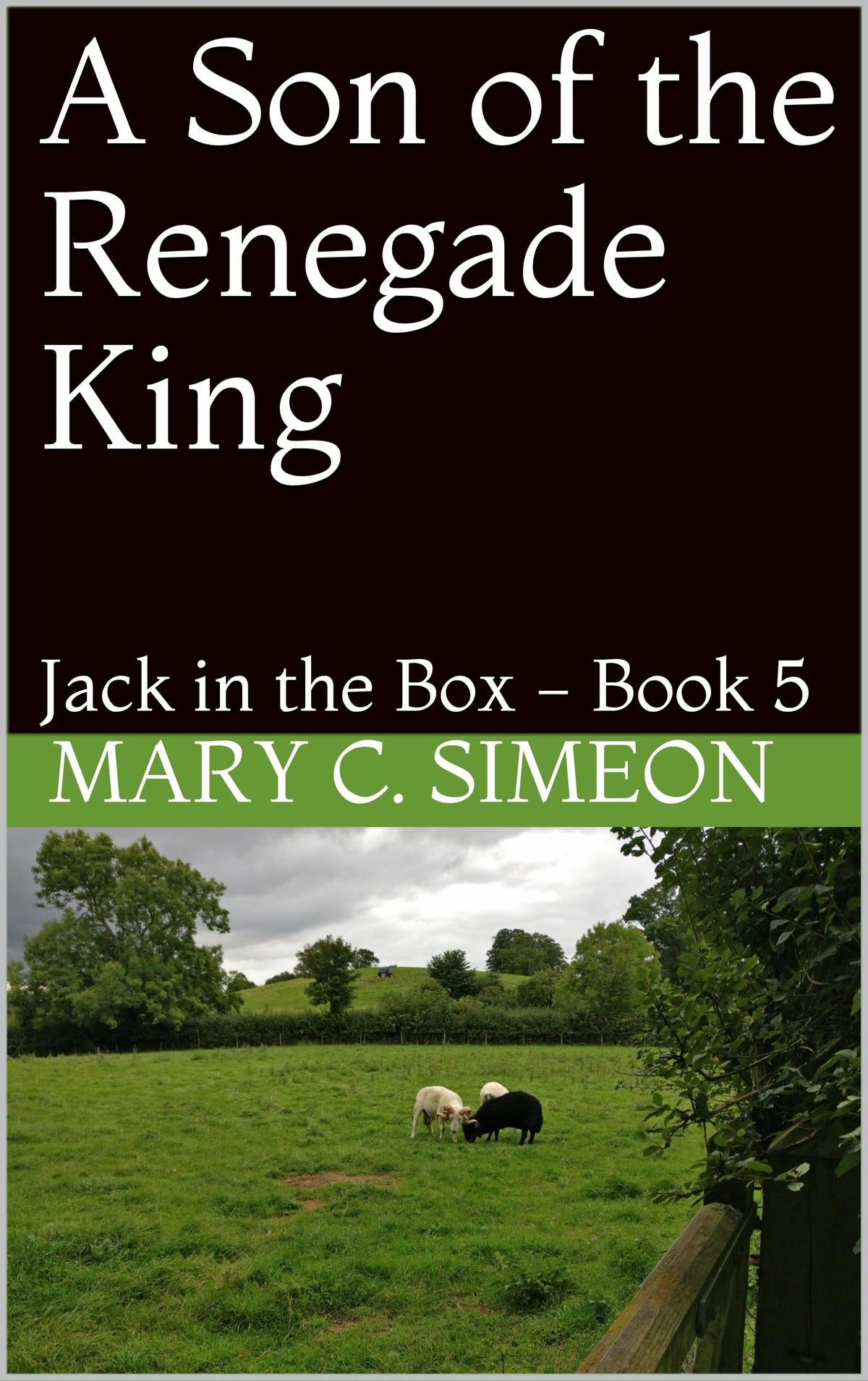 Book 5 G42906