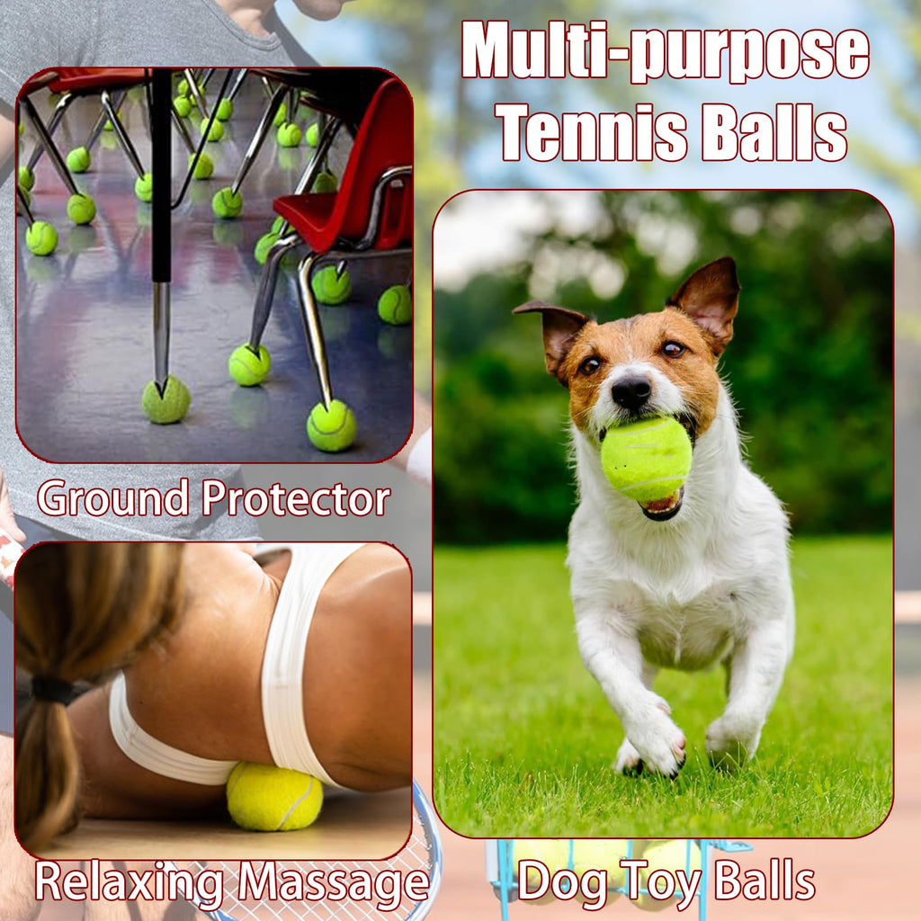 Tennis Ball 30/60 Bulk Pack N48502