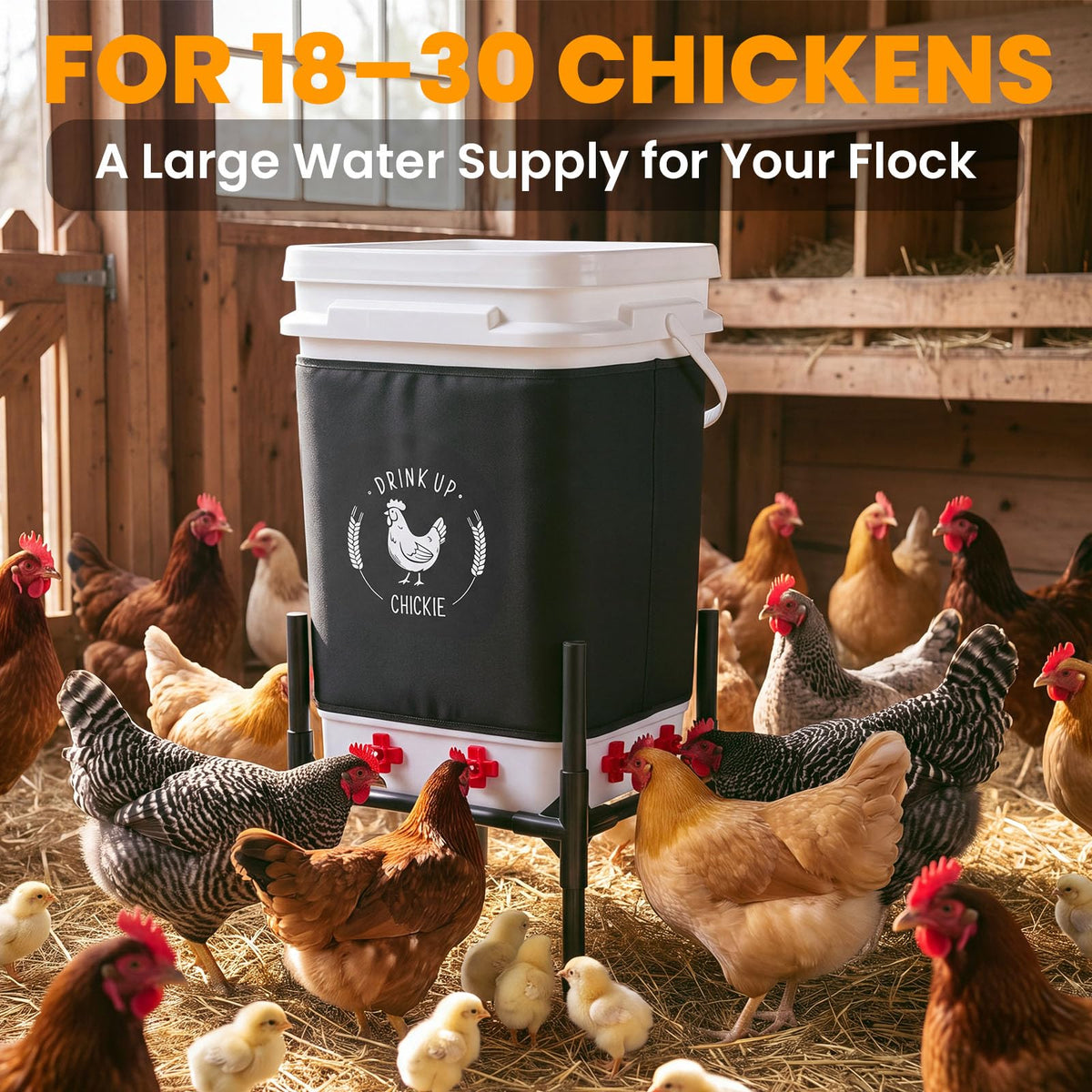 6.6 Gallon Heated Chicken Waterer with Stand R583