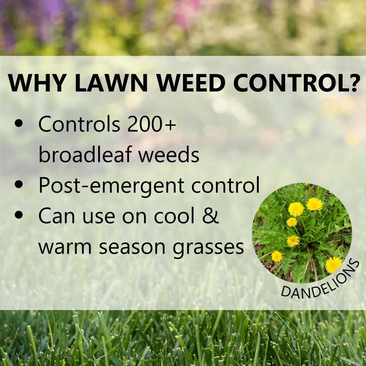 Post Emergent Weed Killer 15,000 Sq Ft W178