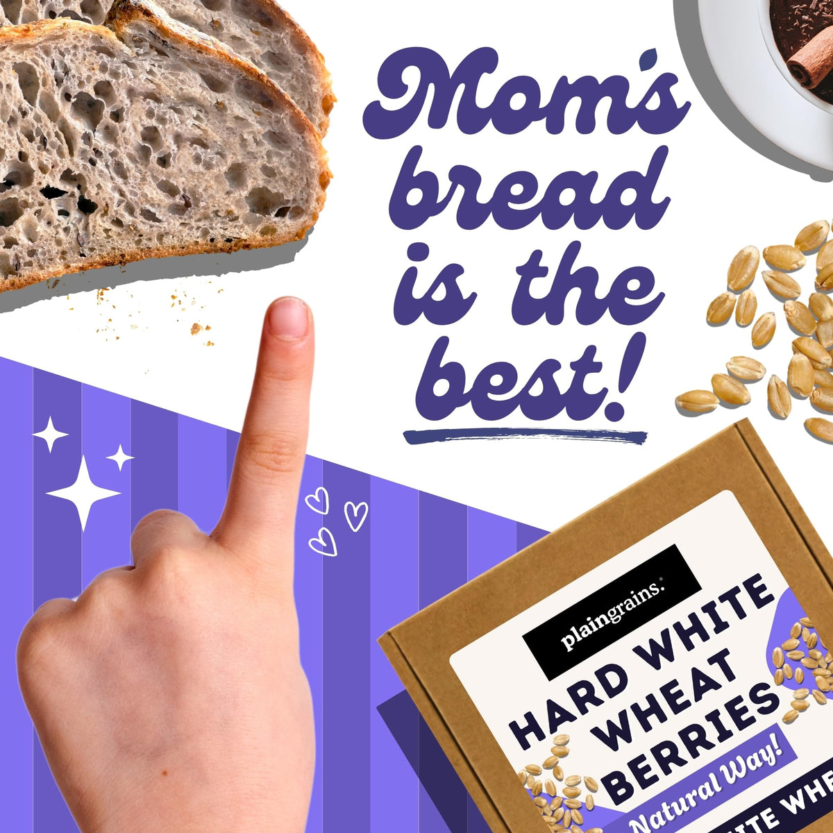 5.5 LB Dry Hard White Wheat Berries Whole Grain R463497