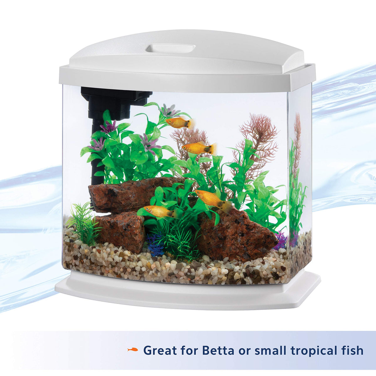 White 2.5 Gallon Aquarium Fish Tank Kit Q266