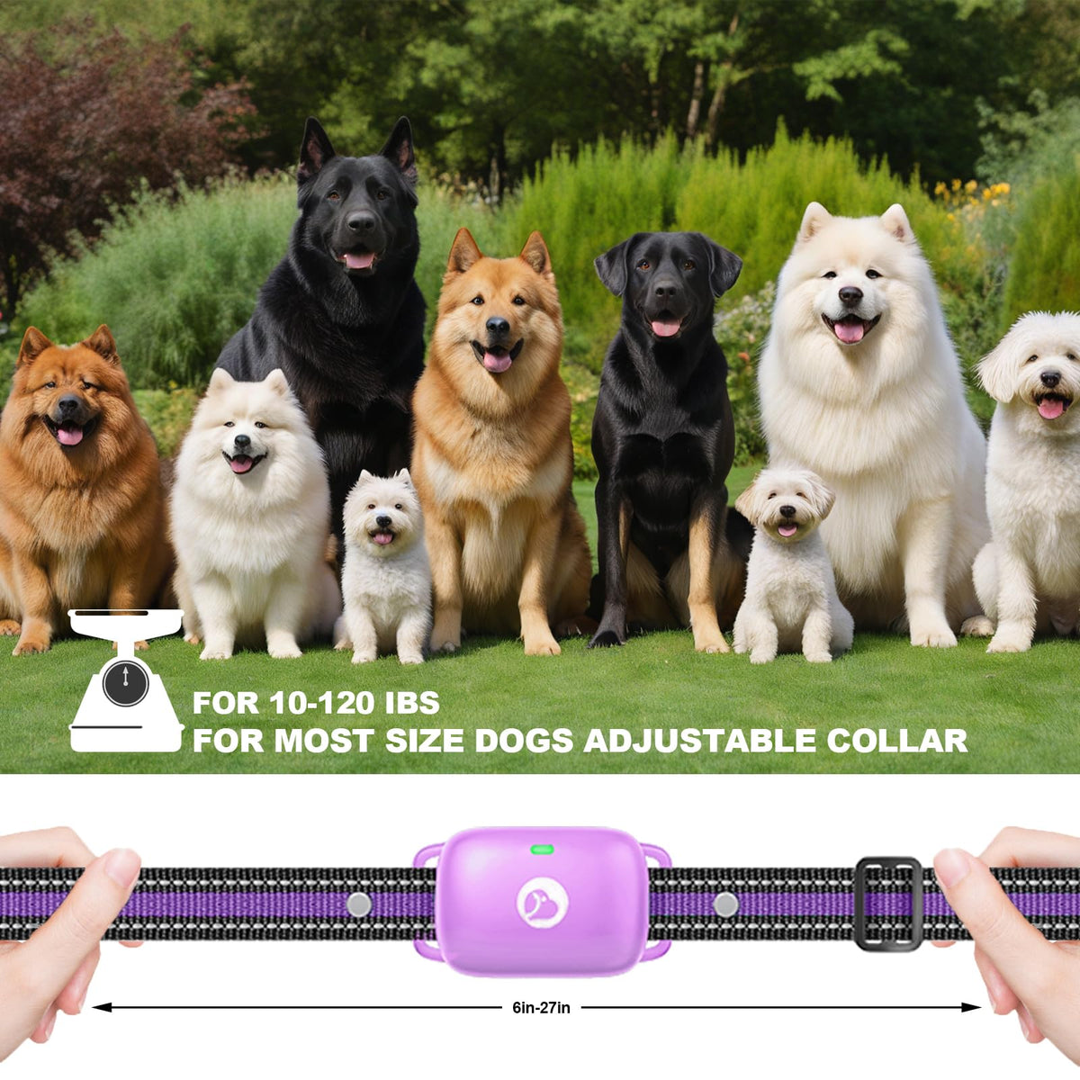 Dog Training Collar with Remote Purple R145385