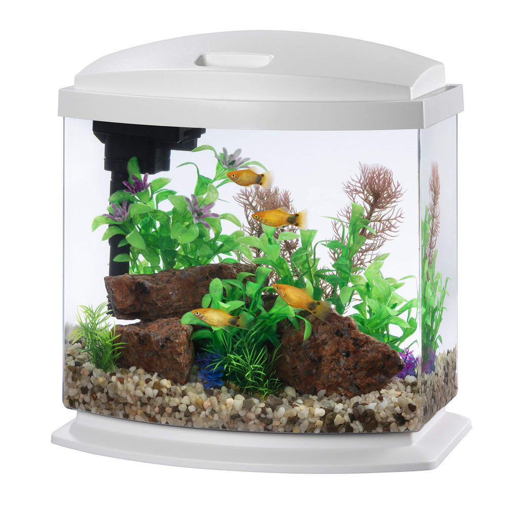 White 2.5 Gallon Aquarium Fish Tank Kit Q266