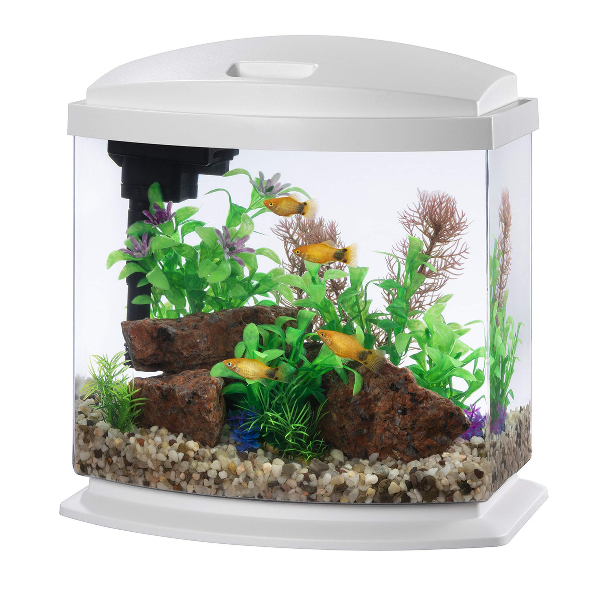 White 2.5 Gallon Aquarium Fish Tank Kit Q266
