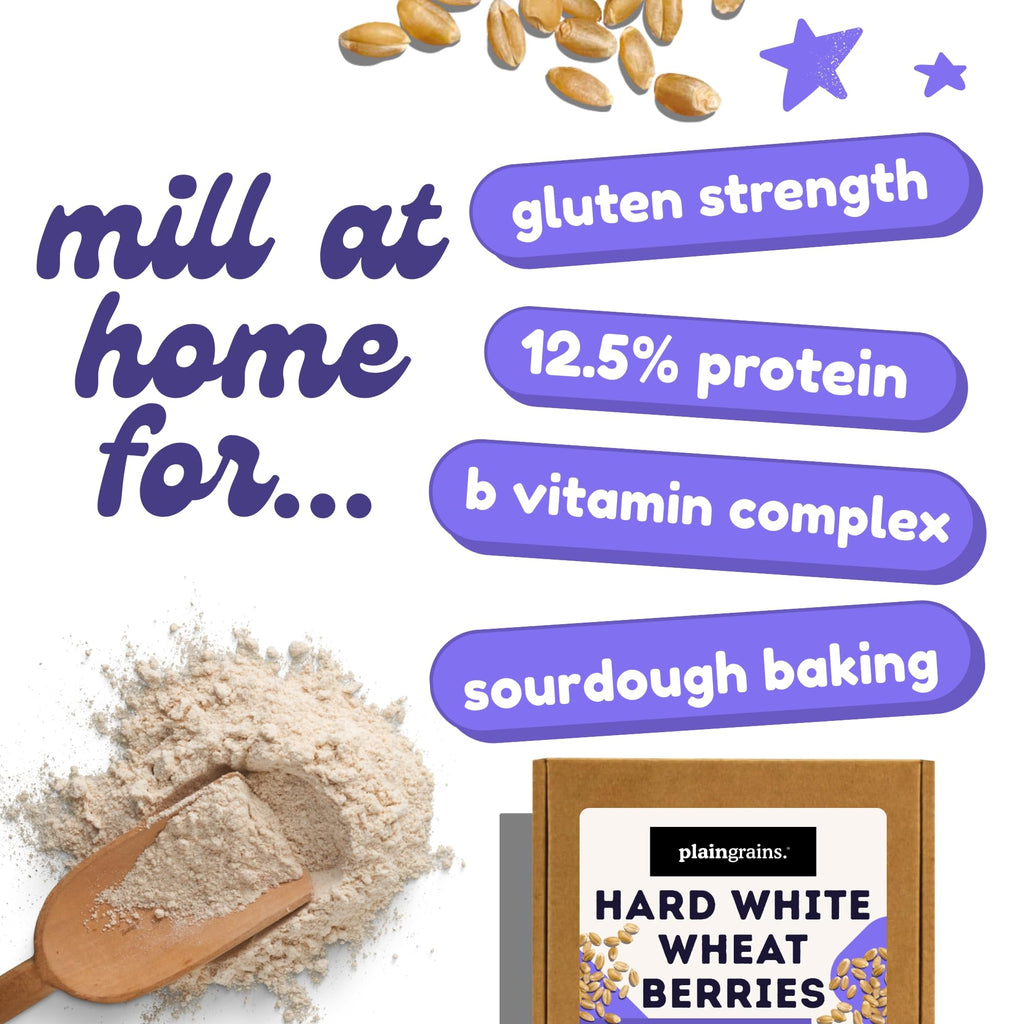 5.5 LB Dry Hard White Wheat Berries Whole Grain R463497