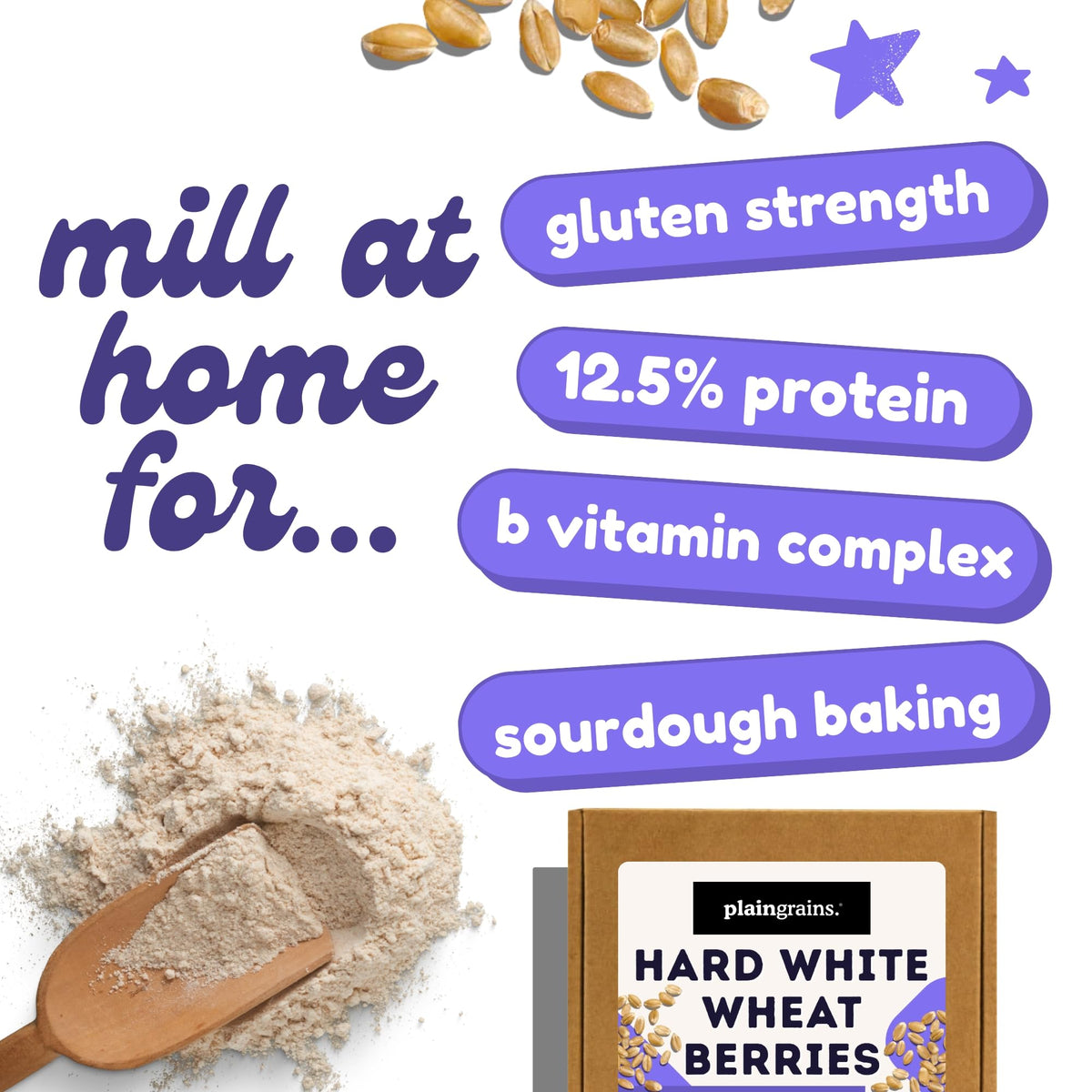 5.5 LB Dry Hard White Wheat Berries Whole Grain R463497