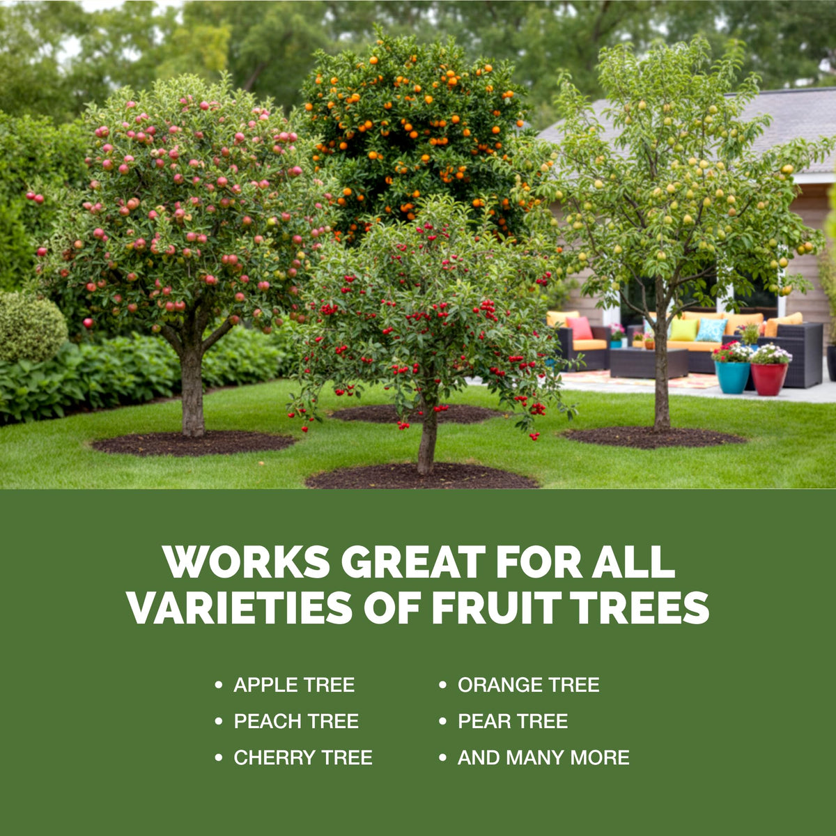 Liquid Fruit Tree Fertilizer 32 oz Z2238