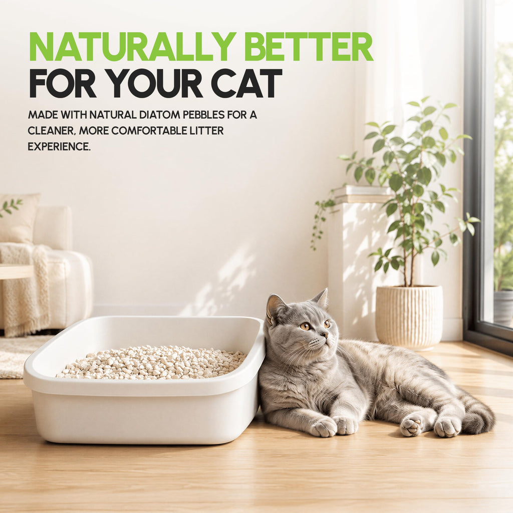 All Natural Unscented Cat Litter 8 lbs K271512
