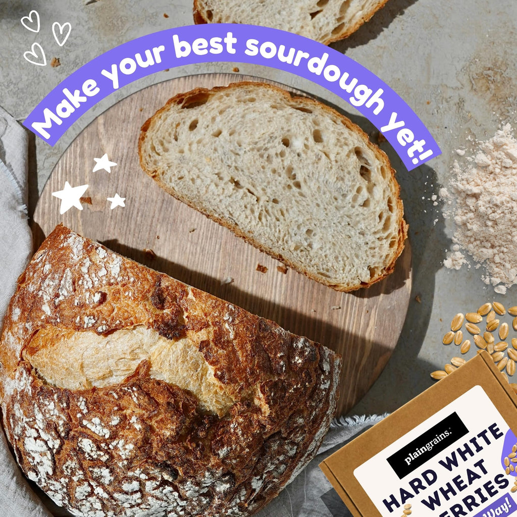 5.5 LB Dry Hard White Wheat Berries Whole Grain R463497
